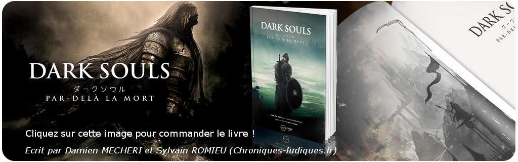 commander-livre-dark-souls